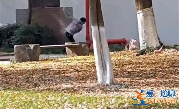 男生校内拳打女友是真的吗，校方回应是情侣纠纷吗[校内事件]？