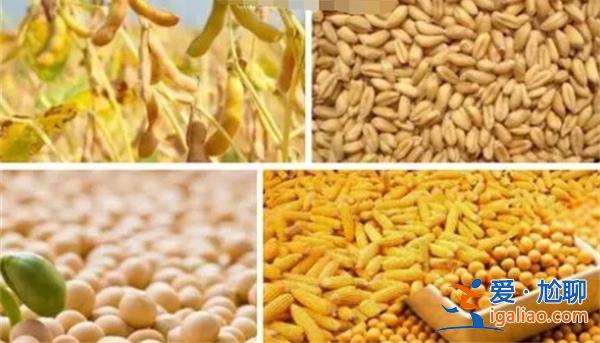 大豆、玉米、小麦价格下跌后续粮价如何有望相对稳定期吗？