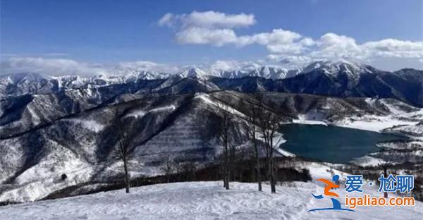 女游客日本滑雪身亡，疑吸入粉雪室息，是日本选手吗[日本滑雪]？