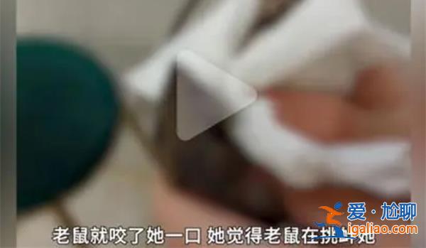 女子遭老鼠咬伤后反咬一口[反咬一口]？