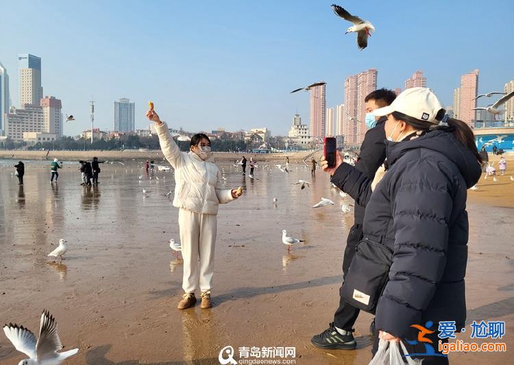网友在青岛栈桥帮游客拍照遭收费团队恐吓 涉事商户停业整顿？