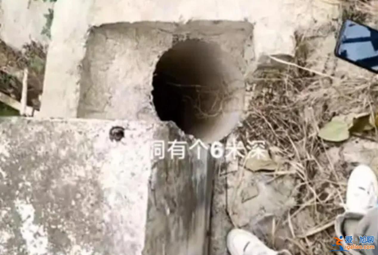 重庆男孩失联6天在排水涵洞被找到重庆男孩为何会失联[失联6天]？