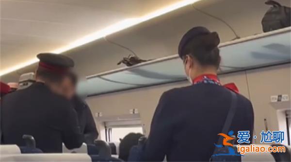 女乘客高铁点餐想加米饭被拒，高铁可以加餐吗[女乘客加米饭被拒]？
