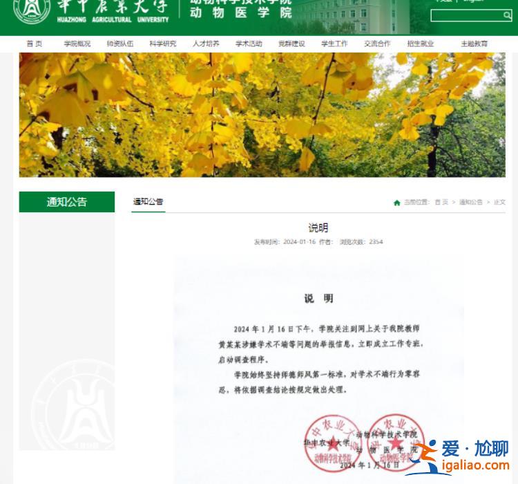 启动调查程序？
