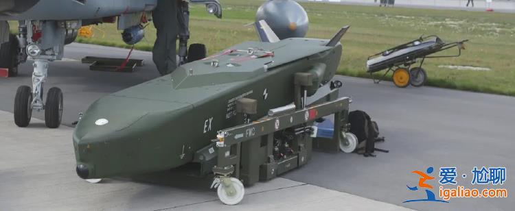 德国联邦议会否决向乌克兰提供“金牛座”巡航导弹的动议？