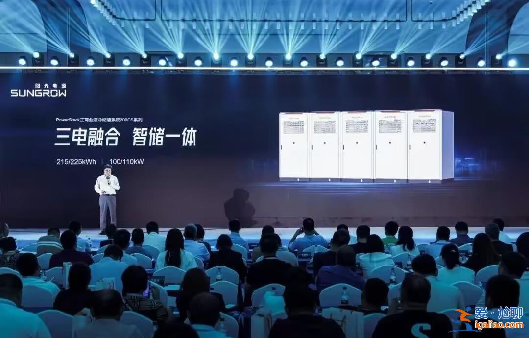 全球光储巨头发力国内工商业储能市场 阳光电源有何举动？