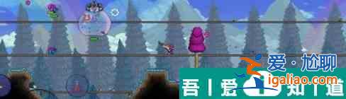 泰拉瑞亚鲨鱼鳍怎么获取 鲨鱼鳍获取方法？
