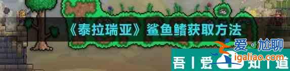 泰拉瑞亚鲨鱼鳍怎么获取 鲨鱼鳍获取方法？