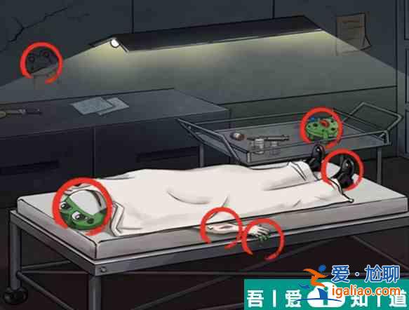 看你怎么秀蛙蛙尸间通关攻略 具体一览？