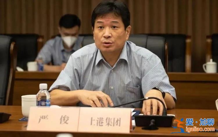 严俊被公诉 曾任上港集团总裁？