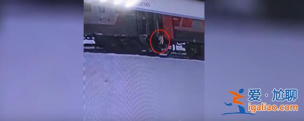 “重大丑闻”！俄罗斯一宠物猫被列车员扔下火车后死亡 俄铁道歉？