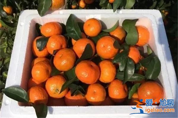 标价14.6元10斤的砂糖橘实为1斤装 误导消费何时休谁的责任？