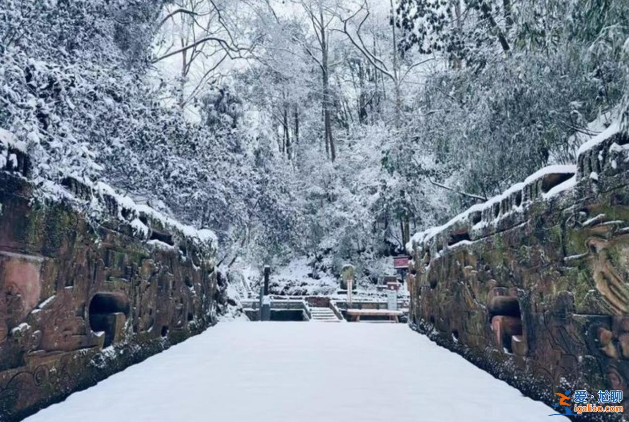 四川蒙顶山景区“一夜白头”，景区发生了什么[雪地]？