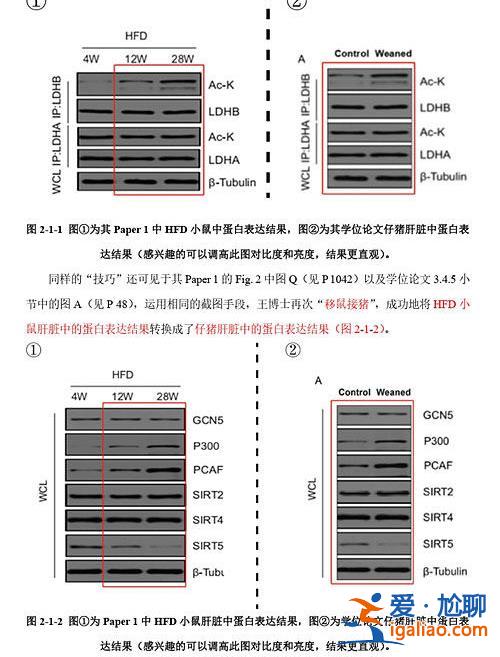 导师曾叫嚣“我背后有学校年薪50万的律师团”？