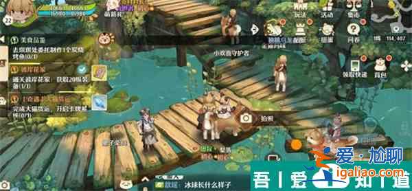 森之国度旅行青蛙在哪  森之国度旅行青蛙位置一览？