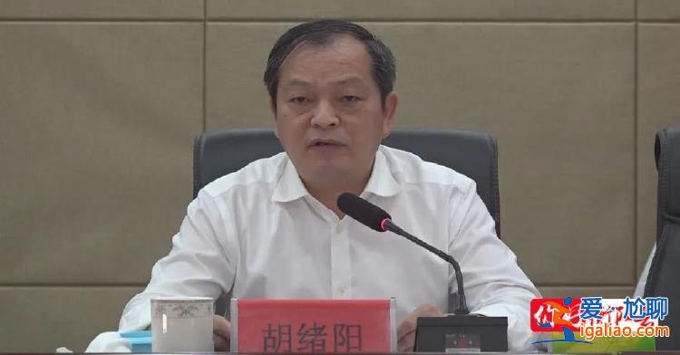 首次披露！任上被拿下的他 曾指使涉案人员潜逃海外？