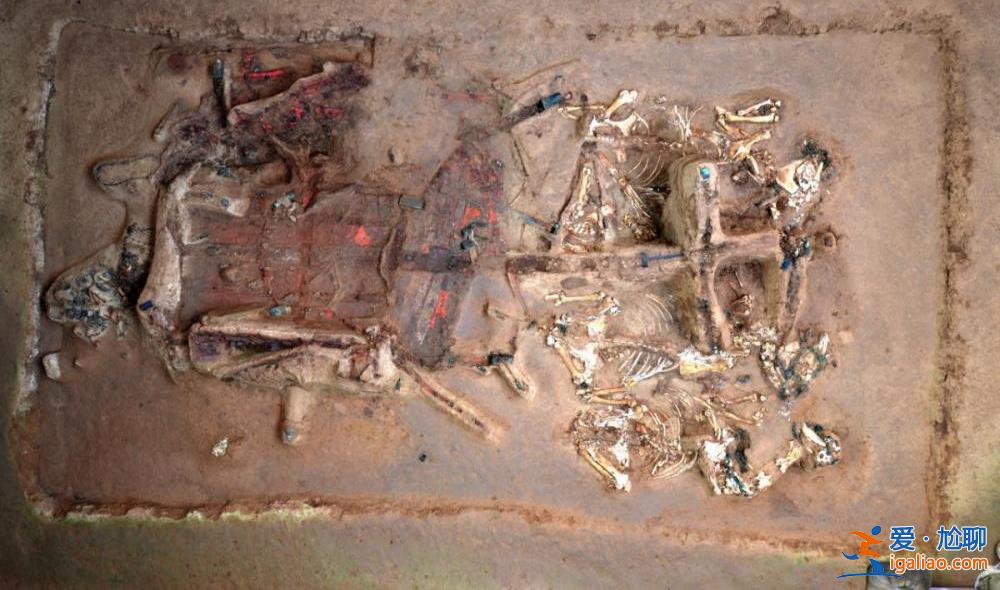 “帝国第一陪葬墓”取得重大考古收获？