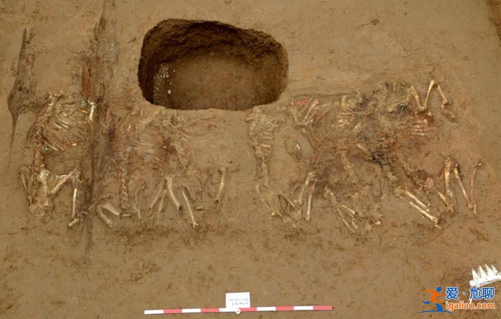 “帝国第一陪葬墓”取得重大考古收获？