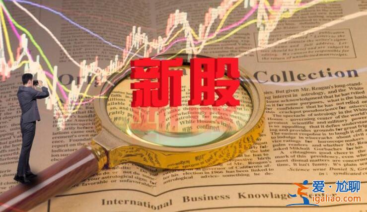 新股的涨幅为何是44%  原因分析如下？