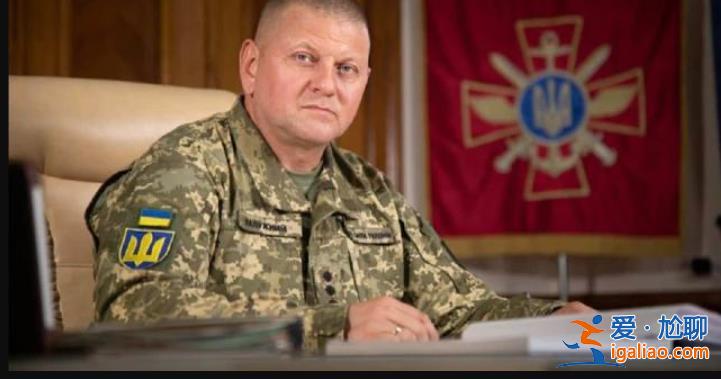 乌军总司令“被辞职”？乌克兰国防部“辟谣”遭质疑？