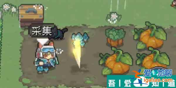 元气骑士前传南瓜在哪 元气骑士前传南瓜获取位置介绍？