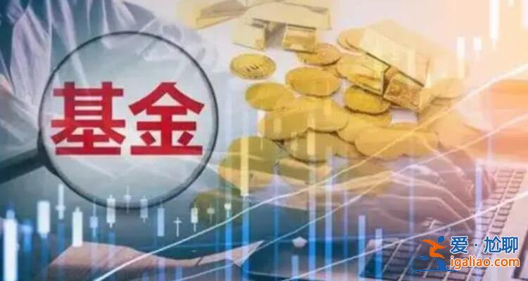 创业板指数基金怎么选 可以参考下文？