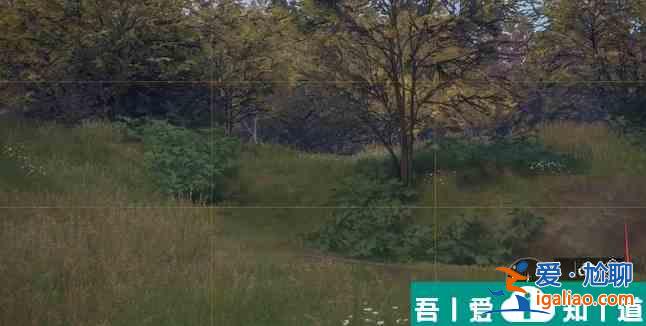 猎人荒野的召唤怎么拍照片 猎人荒野的召唤拍照方法？