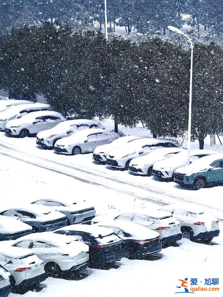 暴雪中心预报在河南 为何两湖“受伤”更重？