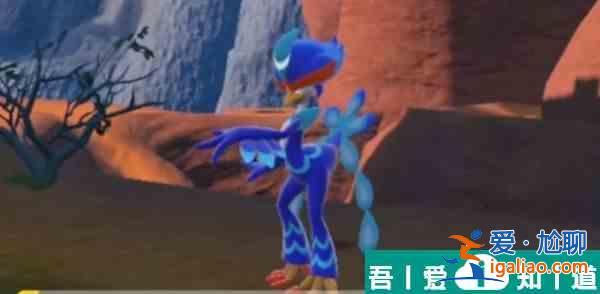 宝可梦朱紫御三家怎么玩  宝可梦朱紫御三家攻略？
