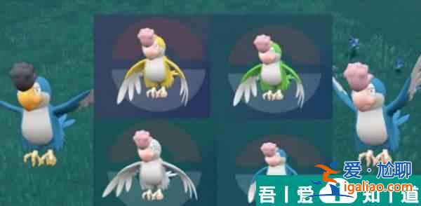 宝可梦朱紫怒鹦哥有什么颜色  宝可梦朱紫怒鹦哥颜色种类介绍？