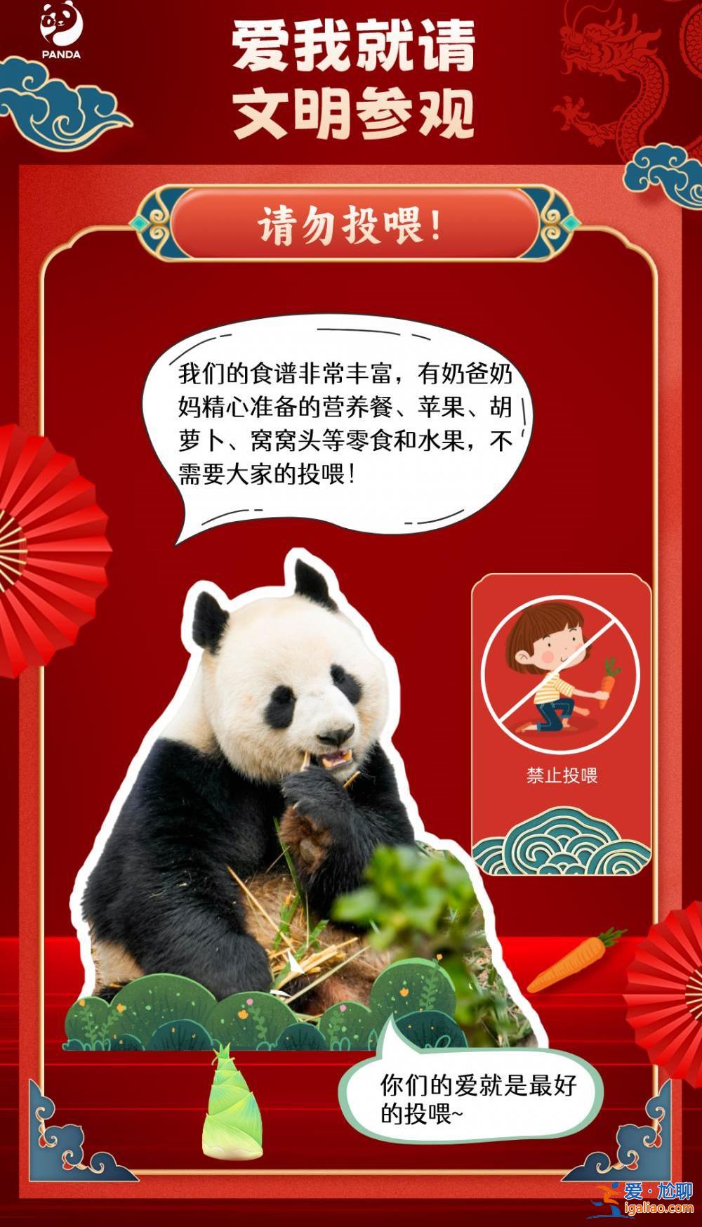 一游客在成都大熊猫基地参观时向场内投掷物品 被终身禁入？