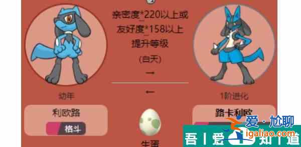 宝可梦朱紫路卡利欧怎么进化  宝可梦朱紫路卡利欧进化方法？