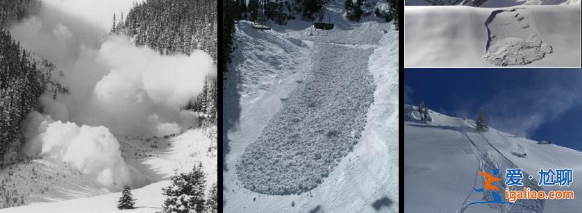 2名游客擅自在道外滑野雪造成雪崩！新疆喀纳斯景区通报来了？