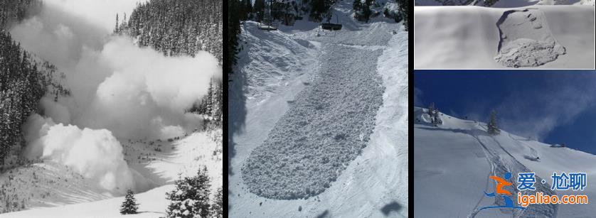 2名游客擅自在道外滑野雪造成雪崩！新疆喀纳斯景区通报来了？