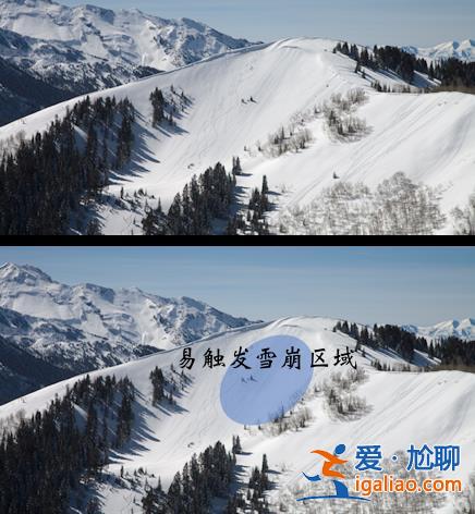 2名游客擅自在道外滑野雪造成雪崩！新疆喀纳斯景区通报来了？