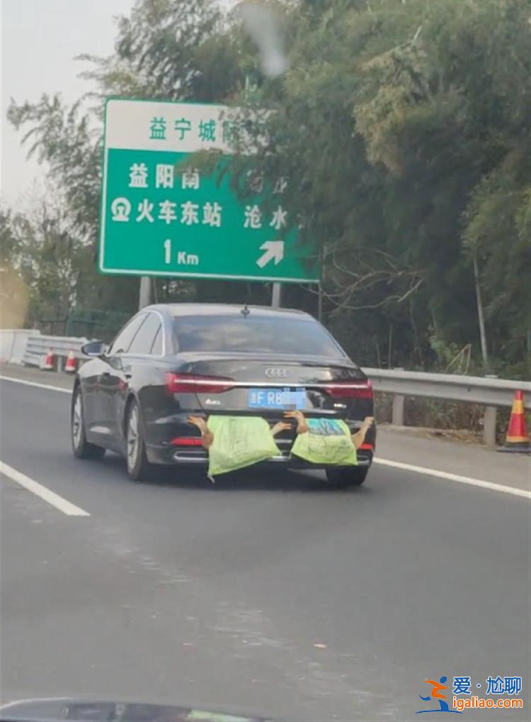 开车返程后备厢被家人塞满土特产 车尾挂了四只大鸭子？