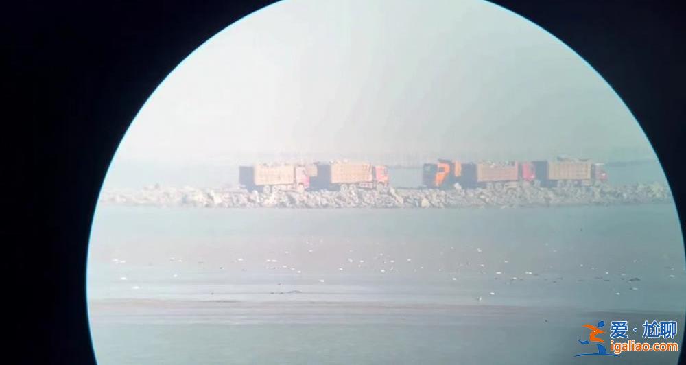 江苏一海湾整治项目被指破坏生态 施工处为鸟类觅食地 已被法院叫停？