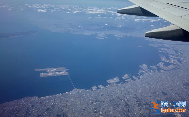 越来越多鲸鱼在日本大阪湾搁浅 当地专家称气候变化所致？