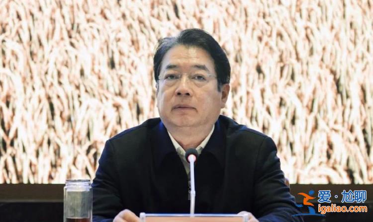 龙年首虎！卸任一年后胡强被拿下 曾陷入“周劼炫富”的舆论风波？