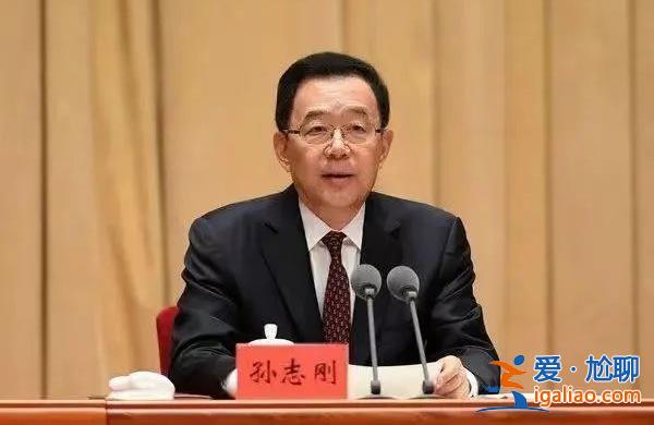 贵州省委原书记孙志刚被决定逮捕？