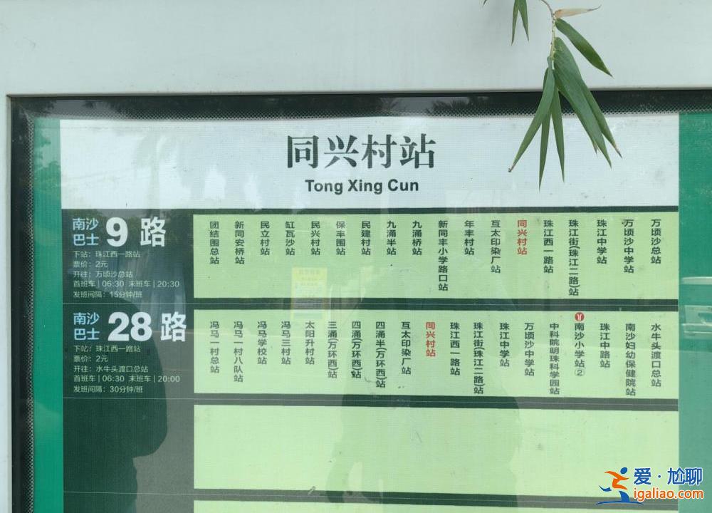 那是首班车 平时乘客以岛上学生为主？
