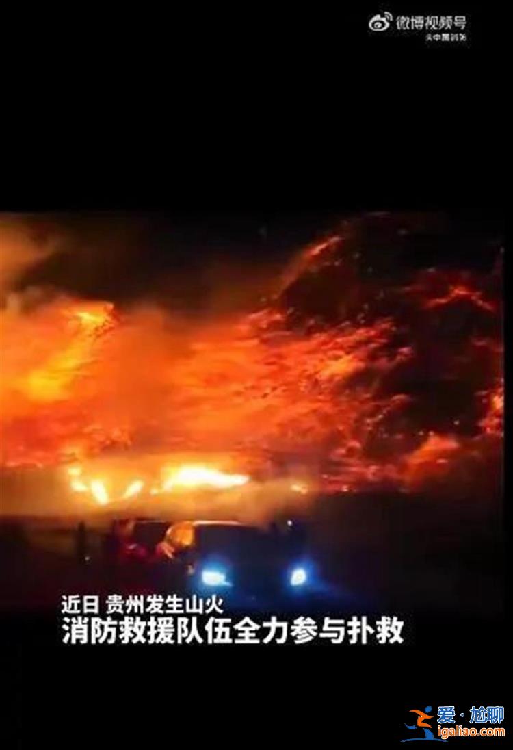 贵州221起森林火情已全部扑灭 消防员介绍贵州山火扑救有四难？