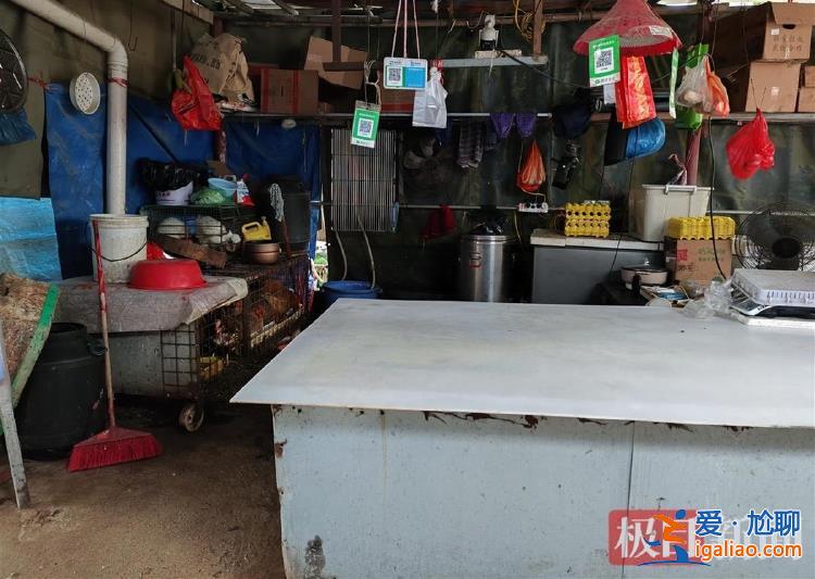 辛苦打拼供养年迈父母 原计划回老家过元宵？