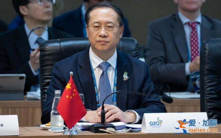 王毅为什么没参加G20外长会？？