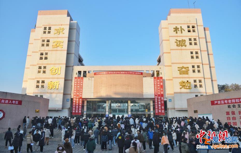 查分进行时！多地今起公布2024考研成绩？