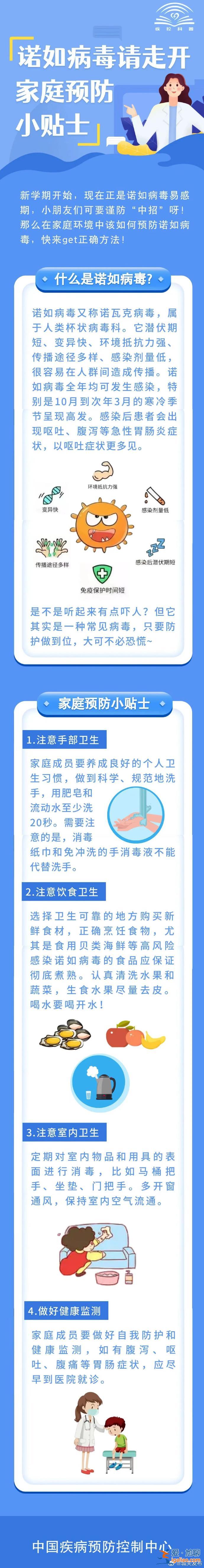 系诺如病毒感染引起？