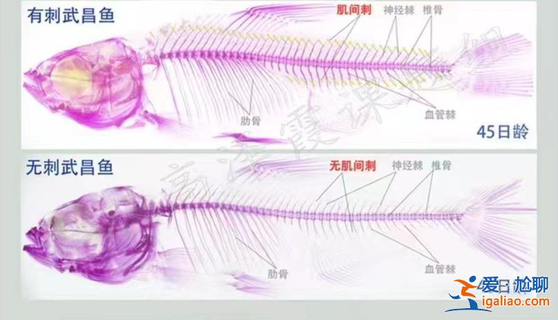 上链接？