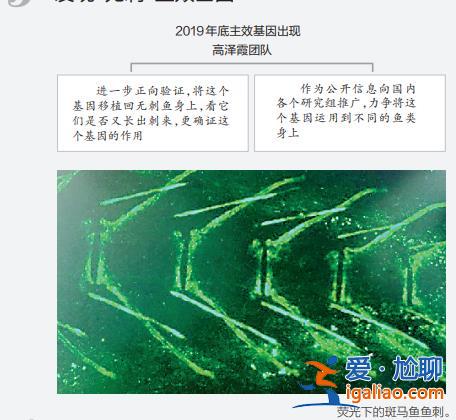 上链接？