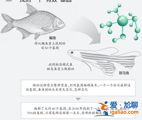 上链接？