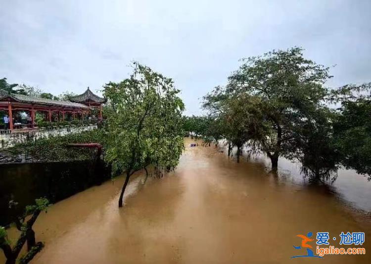 广东多个水库提前预泄应对北江1号洪水 有航道临时停止通航？